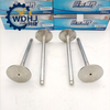 Best Seller Truck Parts WEICHAI WD615 Engine Parts Intake Valve 612600050073 for Sinotruck Shacman Howo 371truck Spare Truck
