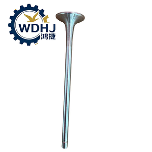 Original Factory High-quality Truck Parts for XIAN CUMMINS Truck VALVE INTAKE for SHACMAN F3000 M3000 X3000 4926069X