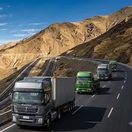 Why does Shacman Delong dominate the overseas heavy-duty truck market?